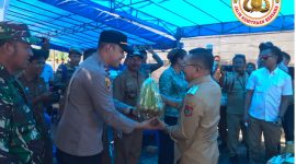 Oplus_16908288