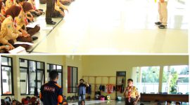 Oplus_16908288