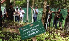 Kolaborasi Konservasi di Sanggabuana: Rumah Bibit Dibangun untuk Selamatkan Owa Jawa
