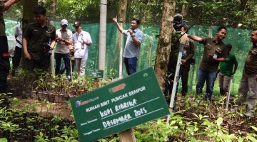 Kolaborasi Konservasi di Sanggabuana: Rumah Bibit Dibangun untuk Selamatkan Owa Jawa