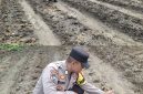 Oplus_16908288