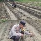 Oplus_16908288