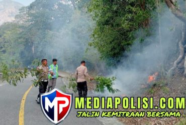 headline-foto