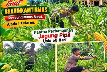 headline-foto