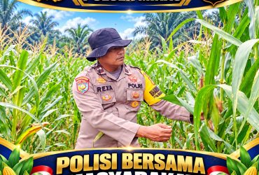 headline-foto