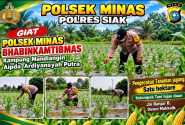 headline-foto