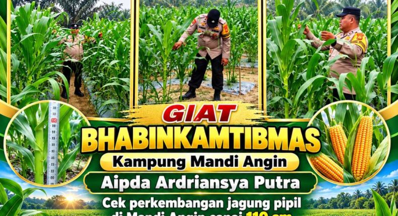 foto slider headline