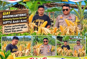 headline-foto
