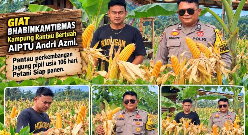 foto slider headline